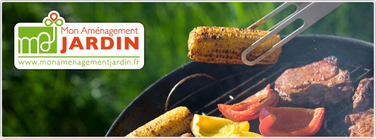 barbecue charbon de bois vertical sunny titane