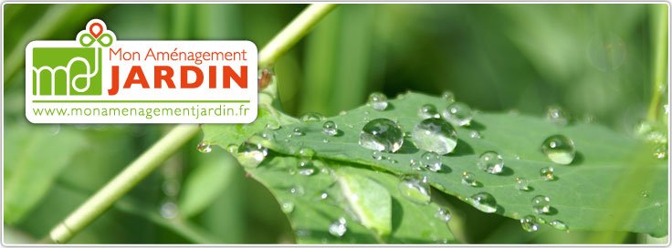 Récupérateur d'eau de pluie