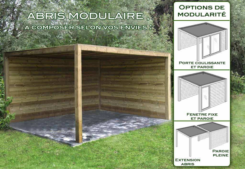 Abri de Jardin Bois 