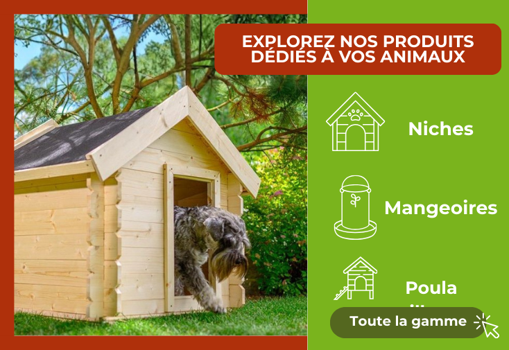 MAJ animaux