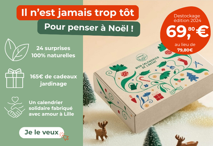 MAJ Calendrier de l'Avent