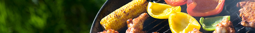 Barbecue gaz Barbecue gaz