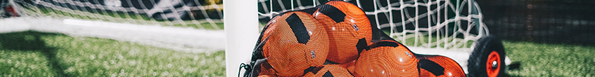 Sport professionnel Sport professionnel