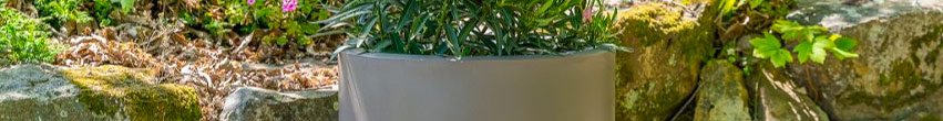 Pot de fleurs plastique