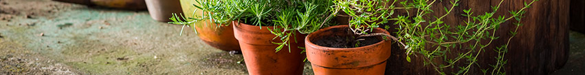 Pot de fleurs Pot de fleurs