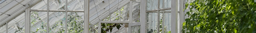 Serre adossée polycarbonate