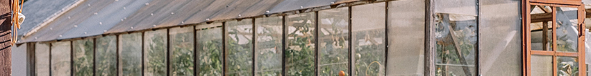 Serre polycarbonate 12m2 Serre polycarbonate 12m2