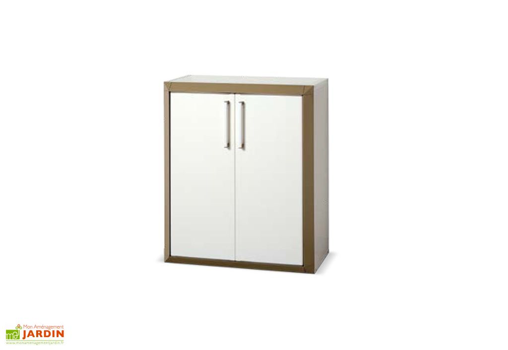 Armoire De Rangement Resine Venus Et Judes