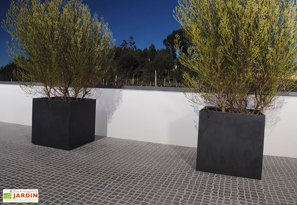 Jardiniere En Beton Fibre Kube 60 60x60 Blive