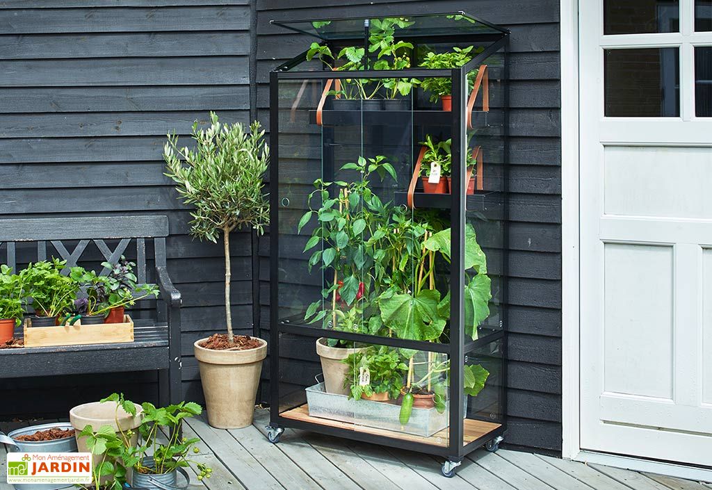 Mini Serre De Jardin En Verre Trempe Juliana City Juliana