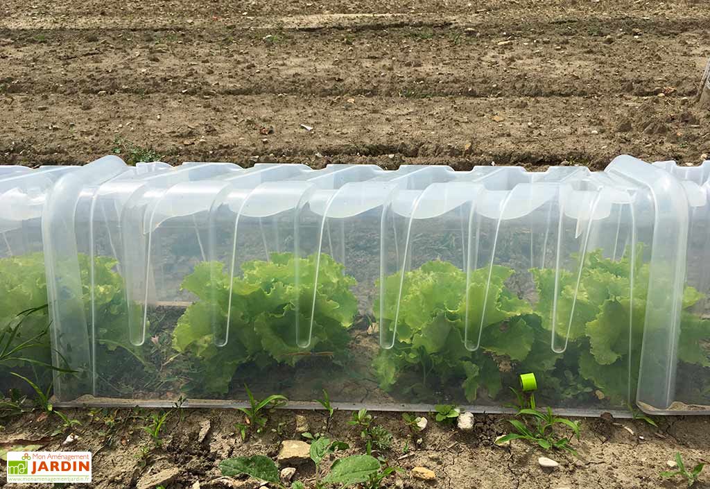 Serre De Jardin Tunnel De Forcage Modulo 30 78 Cm Lot De 3 Mvi