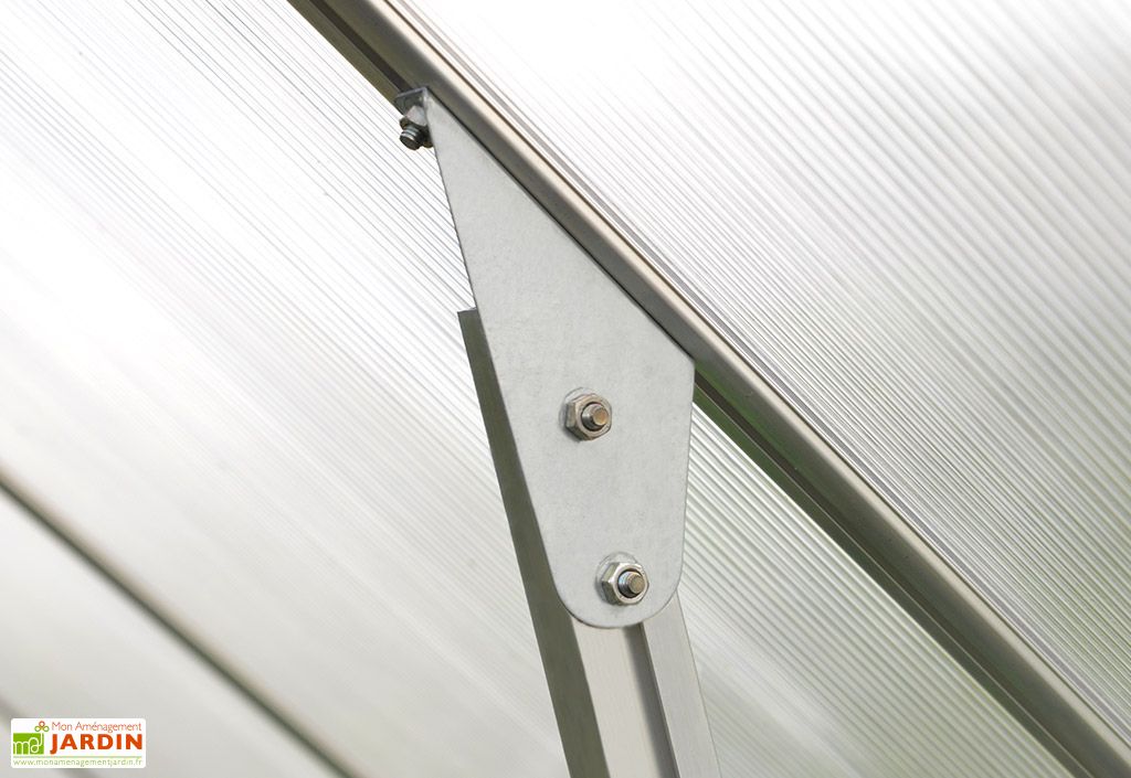 Serre De Jardin En Aluminium Et Polycarbonate Essence 9 M Palram