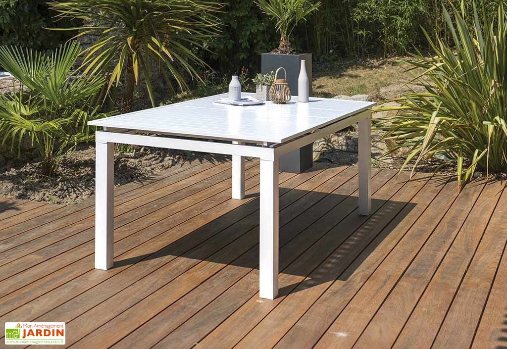 Table Jardin Extensible Rallonge Aluminium 256 320cm 12 Places