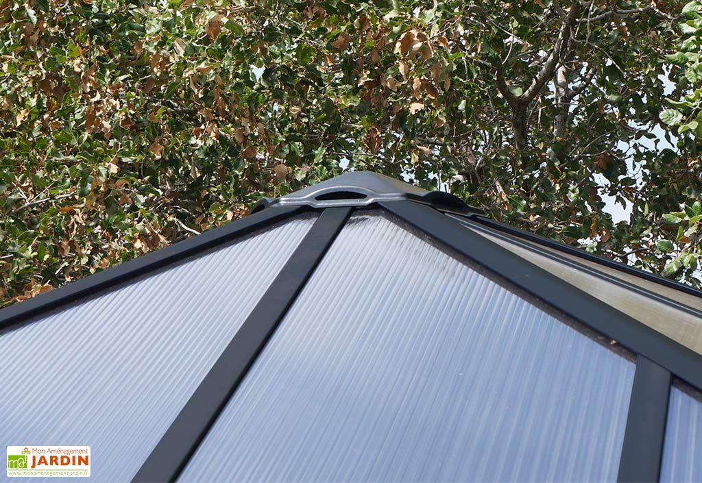 Tonnelle Aluminium Et Polycarbonate Palermo 4300 Gris Anthracite 18 M Palram