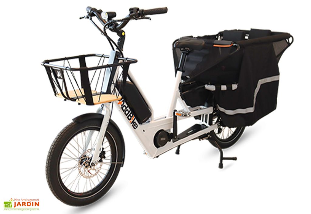 Vélo électrique Triporteur Eco - 480W - Gris - Occasion Très Bon état Avec Chargeur Neuf