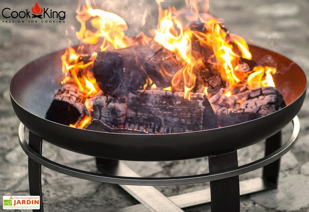 Plaques De Culture Cellulaire Corning™ Costar™ 24 Puits - Traitées TC, Lot De 5