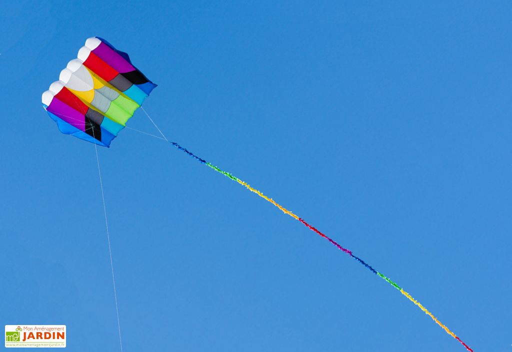 Cerf-volant Sport Schildkröt 1.3 – Aile De Traction 2 Lignes 125 Cm, Sans Canne, Débutant 8 Ans, Sac Inclus, 3-6 Beaufort
