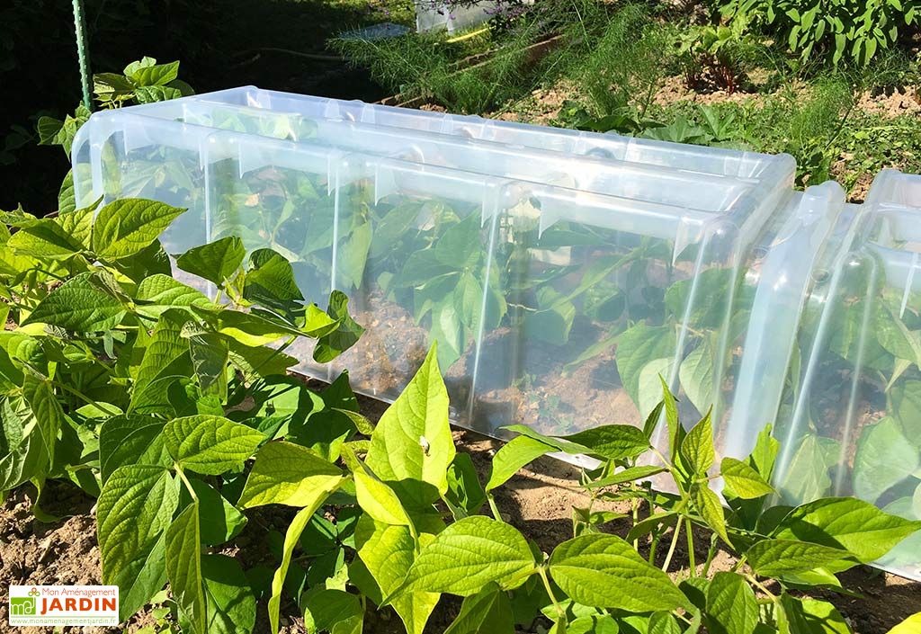 TERRE JARDIN Tunnel De Forçage Rigide 86x38x21 Cm - Mini Serre Potager Transparent Modulable Avec Ventilation & Sardines