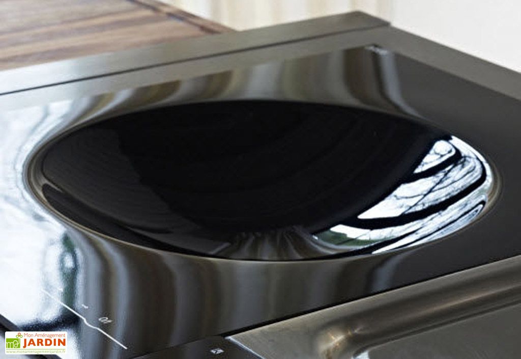 Plaque de Cuisson Induction Wok 40cm 3200 W Indu+