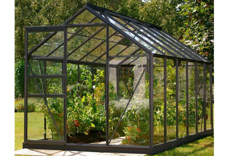 Serre de jardin en verre trempé Lams 7,3 m² - Allium anthracite