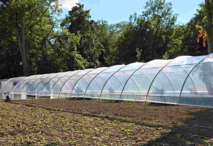 Serre tunnel professionnelle Tonneau 205 m² - Normandie 31,5 x 6,5 m