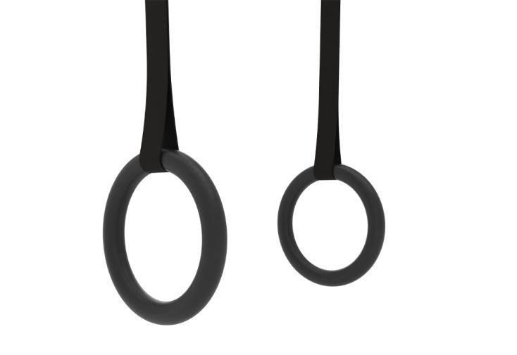 Anneaux de gymnastique pour station de musculation – Monkeybar