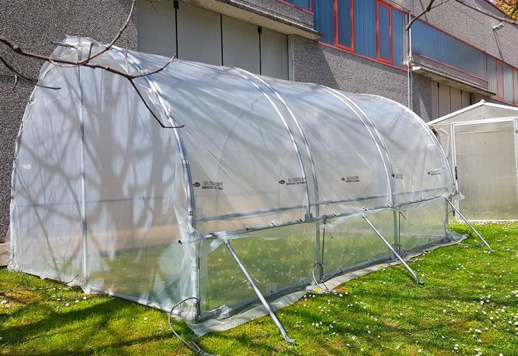 Serre tunnel en acier galvanisé et polyéthylène 200 µ - MS 18 m²