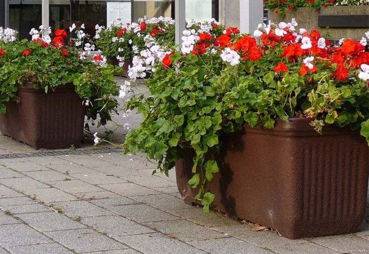 Jardinière rectangulaire en polyéthylène haute densité – 110 x 55 x 55 cm