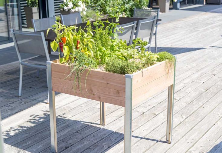 Carré potager en bois 2 étages + treillis, vente au meilleur prix