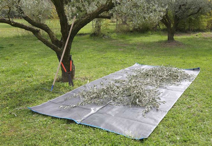 Bâche de Ramassage Jardin en Polypropylène avec Poignées 500 x 200 cm