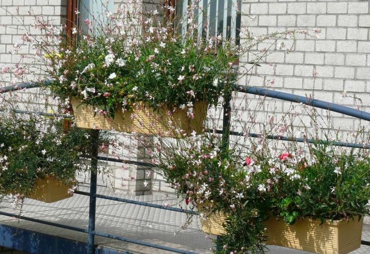 Balconnière suspendue droite PAPI en PEHD + contre-bac