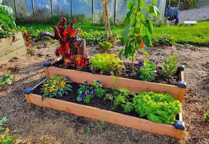 Carré potager en bois Douglas non traité sur deux étages Premium – 136 L