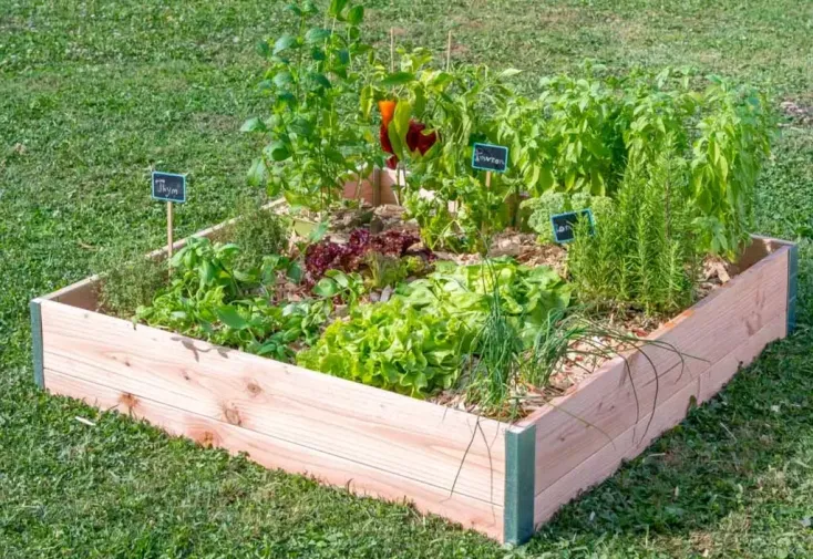 Carré potager en bois Douglas 100 x 95 cm - 140 L