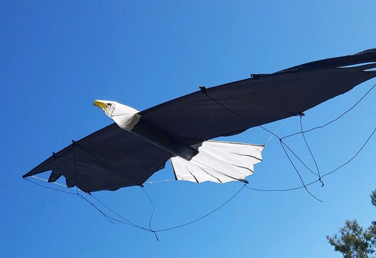 Cerf-volant pilotable - Revolution Eagle