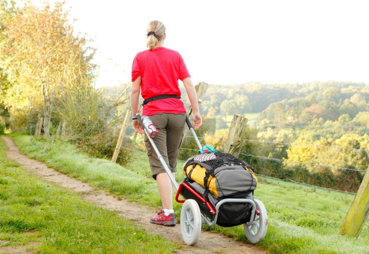 Chariot de randonnée Mottez Ultréïa