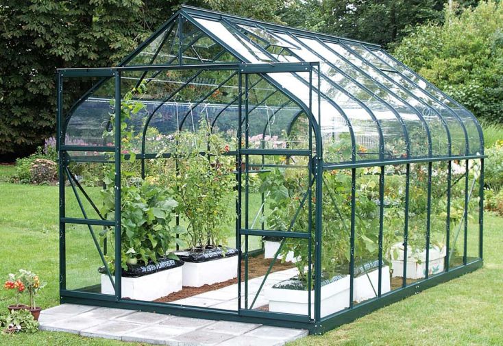 Serre de jardin en verre trempé Lams 11,3 m² - Aloe vert