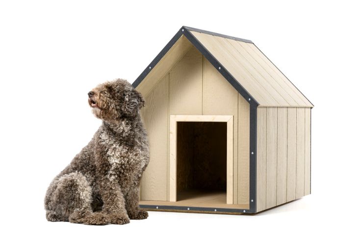 Niche pour chien en bois traité 80 x 118 cm - M972 taille L