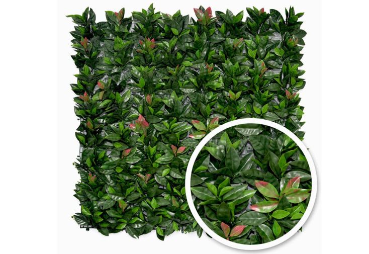 Haie Artificielle Photinia 1 x 1 m