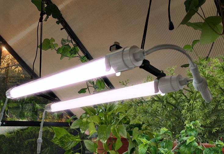 Eclairage horticole au Maroc. 1 Tube LED avec support - Plantopia Maroc