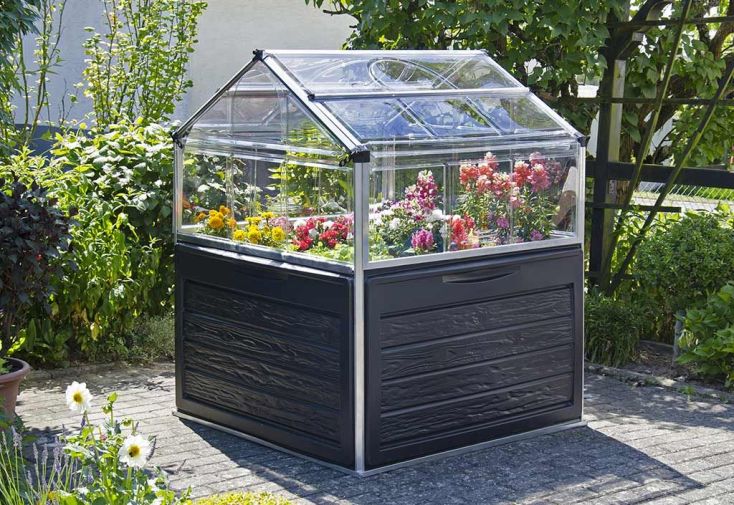 Mini Serre de Jardin en Aluminium et Polycarbonate Plant Inn (118