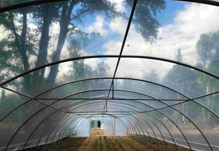 Serre tunnel professionnelle Tonneau 234 m² - Normandie 36 x 6,5 m