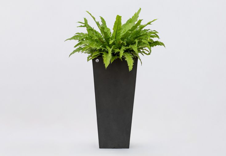 Pot de fleurs design carré en PEHD finition velours PAPI 