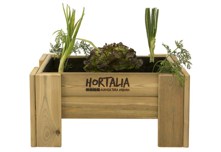 Mini potager en bois de pin traité 25 L – 35 x 60 x 30 cm