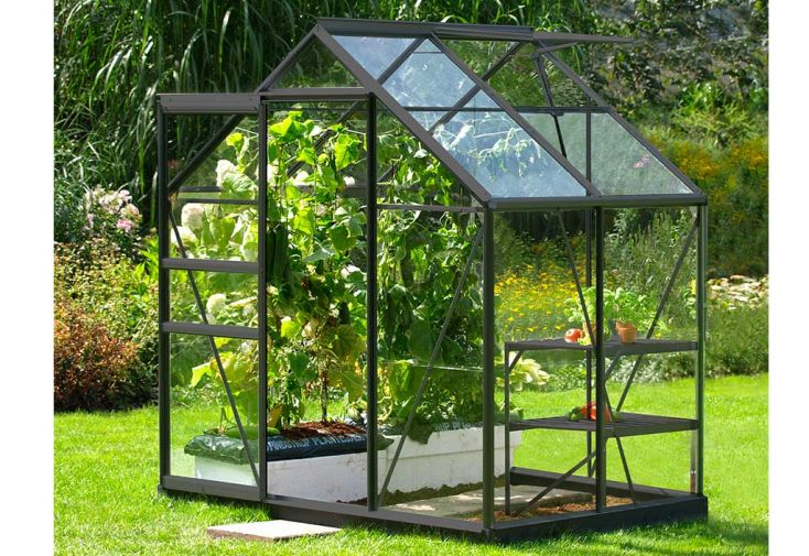 Serre de jardin en verre trempé Lams 2,5 m² - Allium anthracite