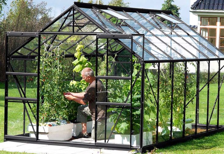 Serre de jardin en verre trempé Lams 11,3 m² - Laurus anthracite