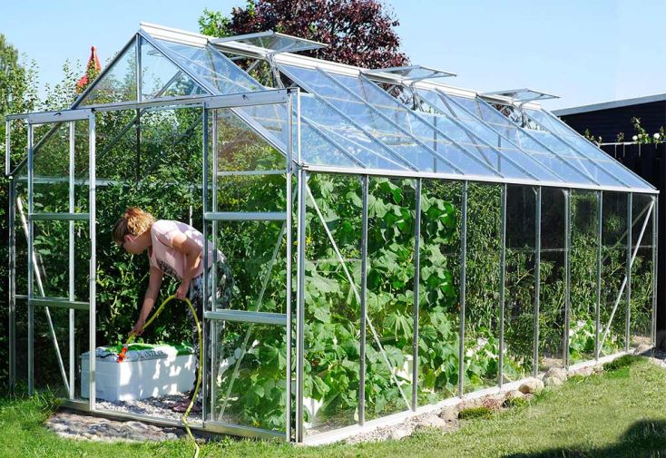 Serre de jardin en verre trempé Lams 14,4 m² - Laurus alu naturel