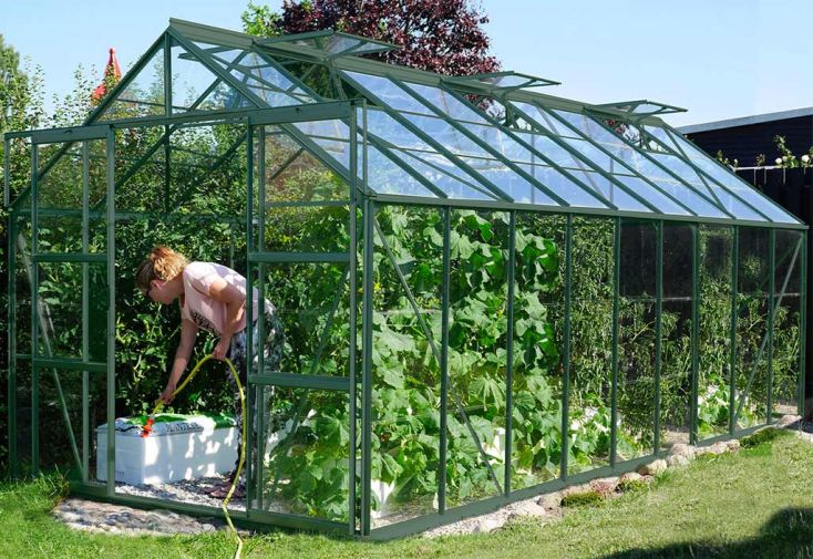 Serre de jardin en verre trempé Lams 14,4 m² - Laurus verte