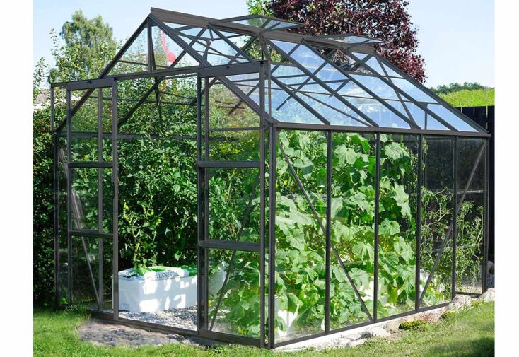 Serre de jardin en verre trempé Lams 8,1 m² - Laurus anthracite