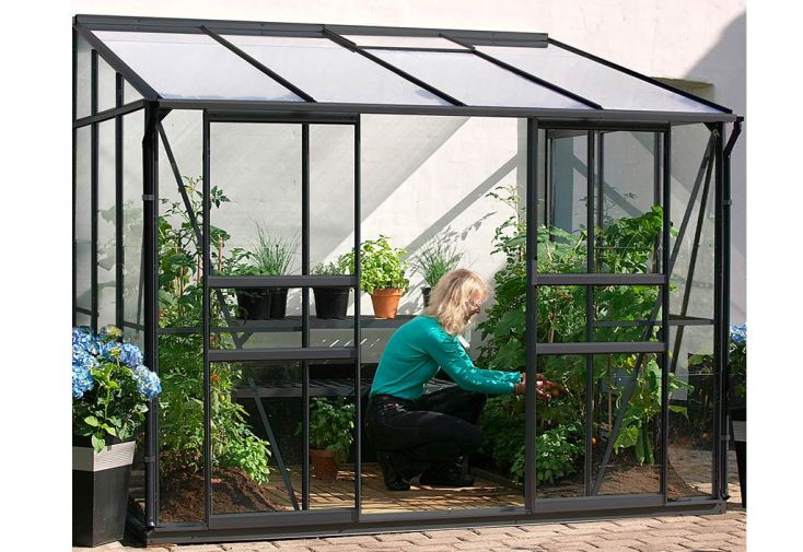 Serre de jardin adossée en verre Lams 4,9 m² - Melissa anthracite