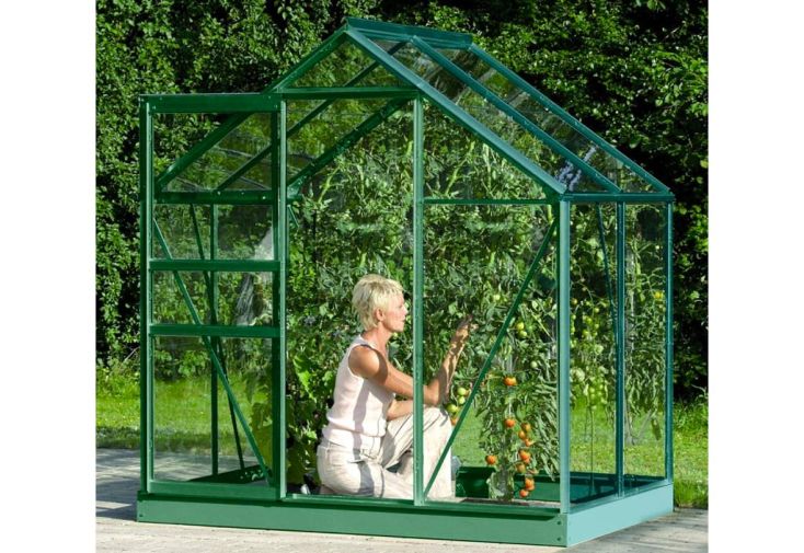 Serre de jardin en verre trempé Lams 2,5 m² - Allium vert